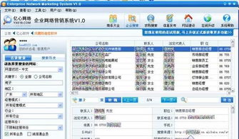 數(shù)字化浪潮下的精準(zhǔn)觸達(dá) 企業(yè)網(wǎng)絡(luò)營(yíng)銷軟件與計(jì)算設(shè)備的多維市場(chǎng)解析